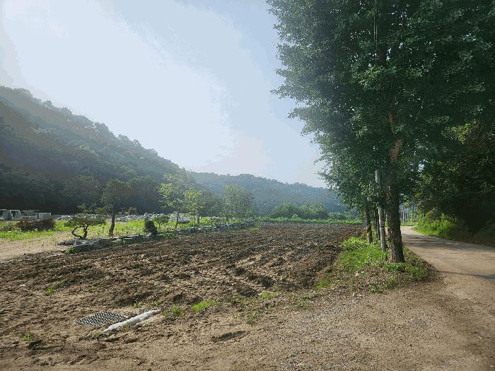 경기도 연천군 군남면 황지리 1041 전 경매 사진 3