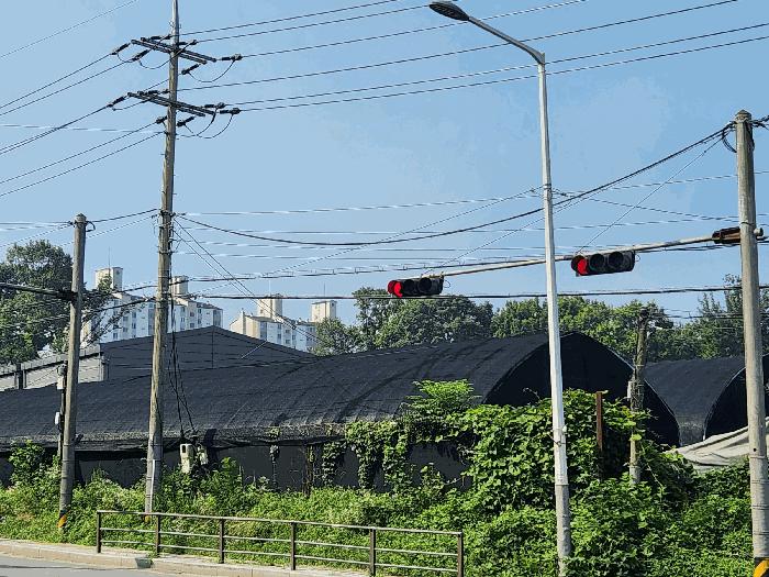 경기도 연천군 군남면 황지리 1041 전 경매 사진 4