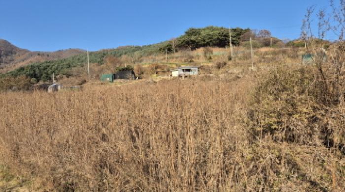 경기도 포천시 관인면 사정리 743-2 잡종지 경매 사진 10