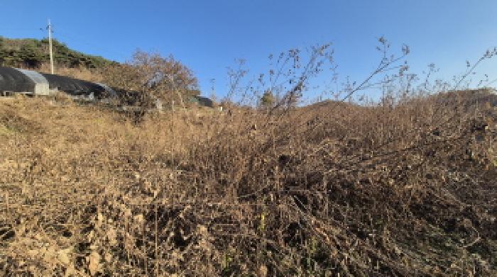 경기도 포천시 관인면 사정리 743-2 잡종지 경매 사진 13