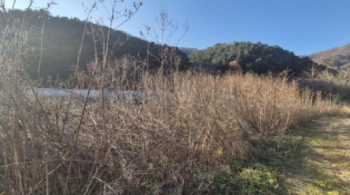 경기도 포천시 관인면 사정리 743-2 잡종지 경매 사진 8