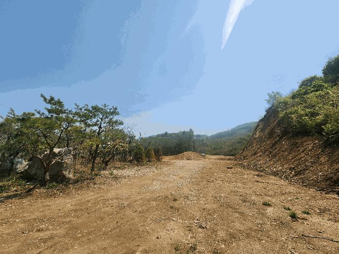 경기도 가평군 청평면 대성리 산60-5 임야 경매 사진 14