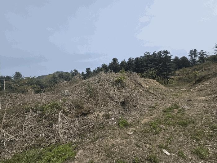 경기도 가평군 상면 임초리 106 임야 경매 사진 7