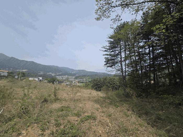 경기도 가평군 상면 임초리 106-18 임야 경매 사진 9