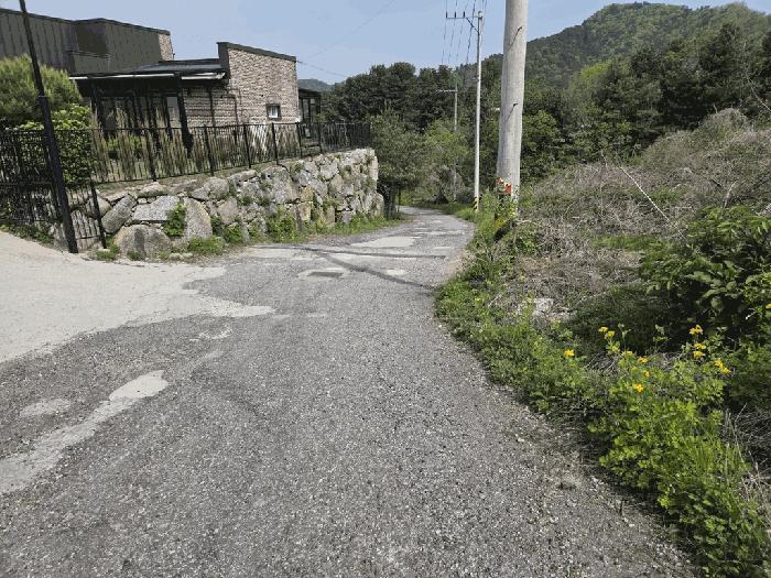 경기도 가평군 상면 임초리 산42 임야 경매 사진 5