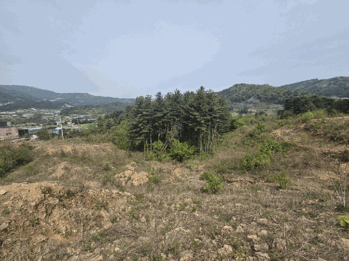 경기도 가평군 상면 임초리 106-28 도로 경매 사진 11