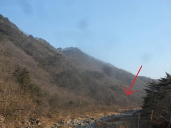 강원특별자치도 영월군 무릉도원면 운학리 산456 임야 경매 사진 2