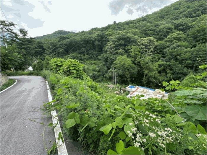 경기도 남양주시 수동면 지둔리 57-2 답 경매 사진 4
