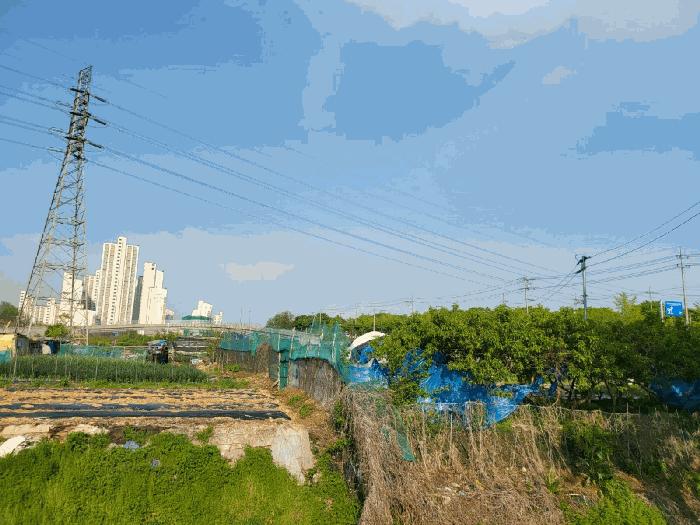 경기도 안산시 단원구 신길동 216-126 전 경매 사진 1