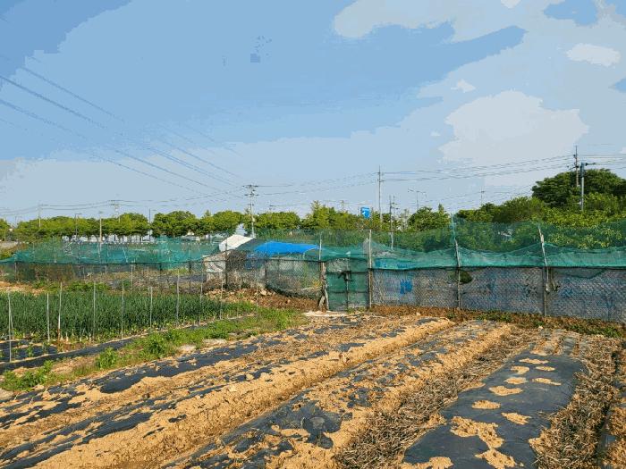 경기도 안산시 단원구 신길동 216-126 전 경매 사진 3