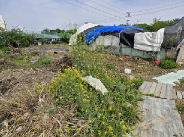 경기도 안산시 단원구 신길동 216-126 전 경매 사진 7