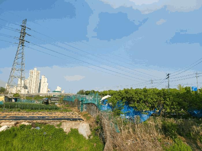 경기도 안산시 단원구 신길동 216-126 전 경매 사진 8