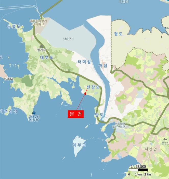 경기도 안산시 단원구 선감동 207 대지 경매 사진 12