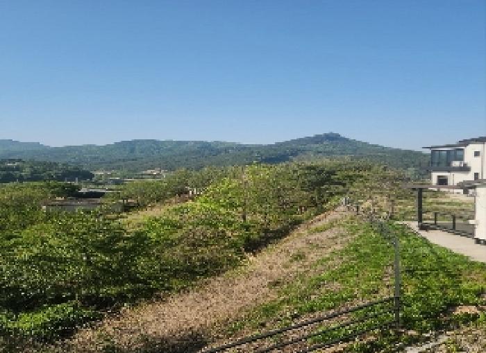 충청북도 영동군 양강면 묵정리 228-2 답 경매 사진 10