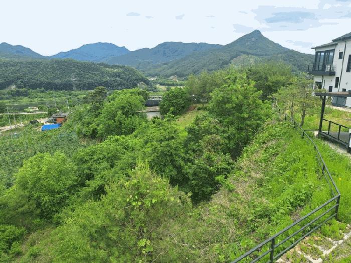 충청북도 영동군 양강면 묵정리 336-5 답 경매 사진 1