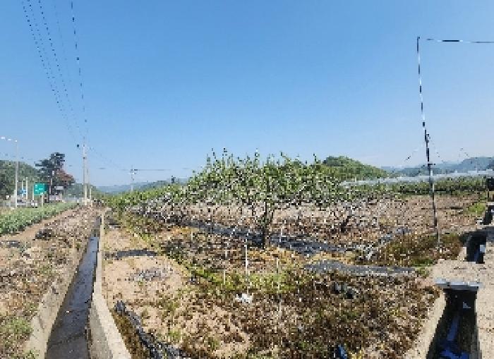 충청북도 영동군 양강면 묵정리 336-5 답 경매 사진 13