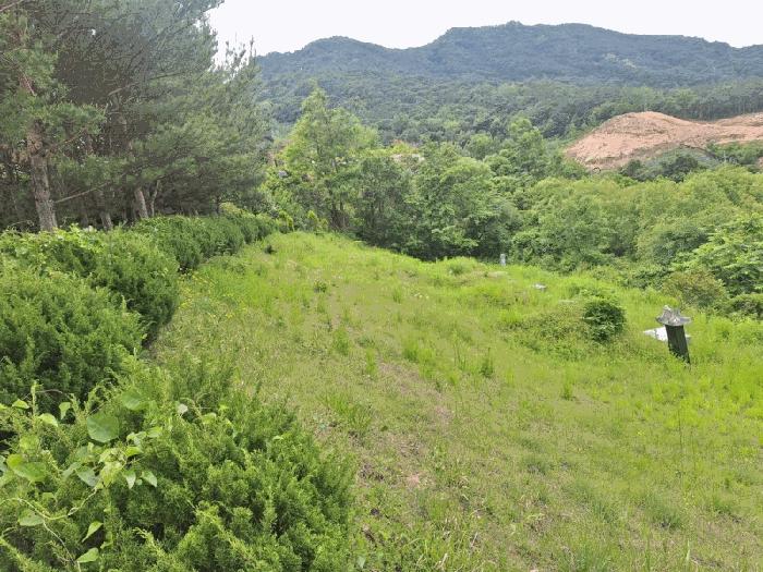 충청북도 영동군 양강면 묵정리 336-5 답 경매 사진 7