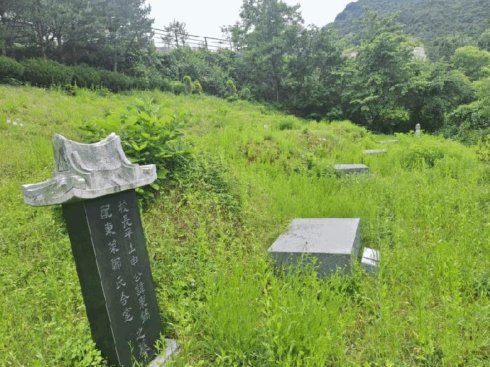 충청북도 영동군 양산면 수두리 308-2 전 경매 사진 6