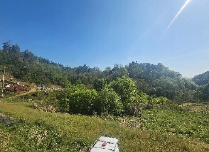 충청북도 영동군 양산면 수두리 308-2 전 경매 사진 8