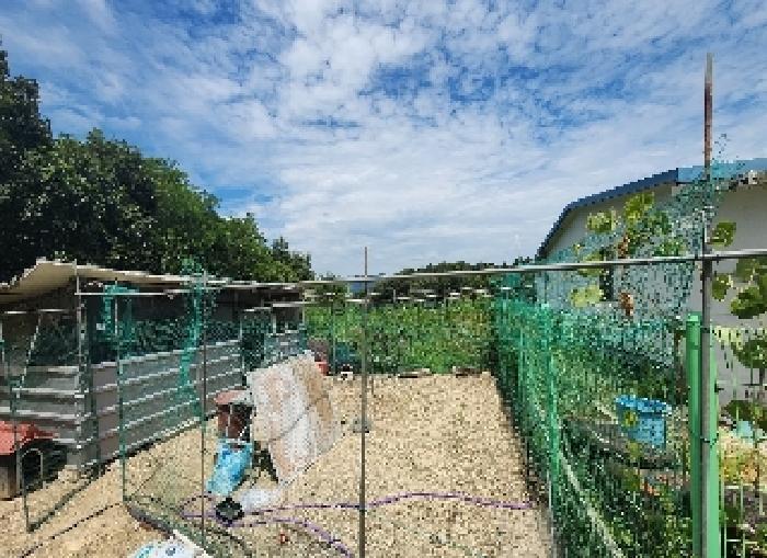 충청북도 옥천군 청산면 효목리 541 주택 경매 사진 12