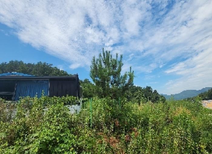 충청북도 옥천군 청산면 효목리 541 주택 경매 사진 13