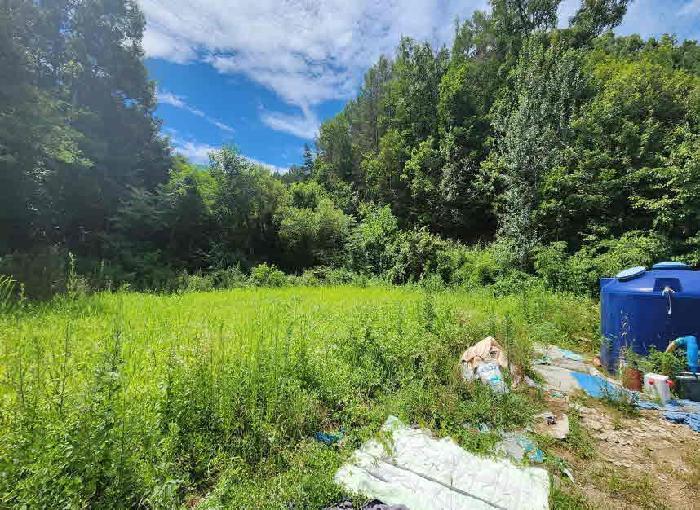 충청북도 옥천군 청산면 효목리 541 주택 경매 사진 9