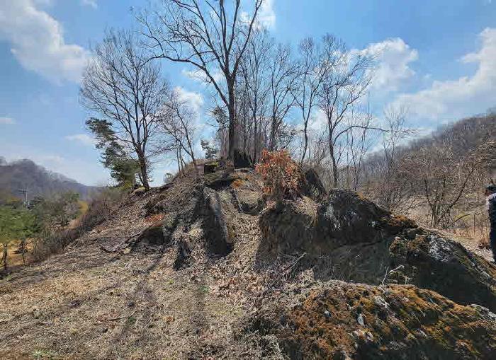 충청북도 옥천군 군북면 지오리 383-3 주택 경매 사진 17