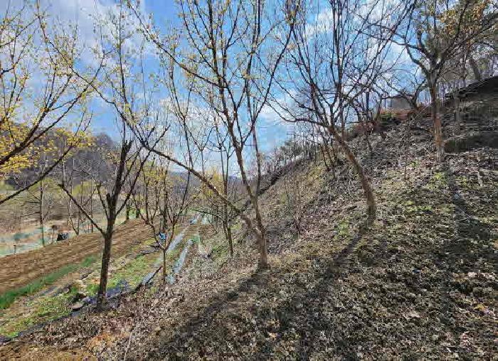 충청북도 옥천군 군북면 지오리 383-3 주택 경매 사진 18