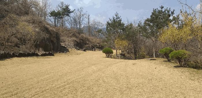 충청북도 옥천군 군북면 지오리 383-3 주택 경매 사진 4
