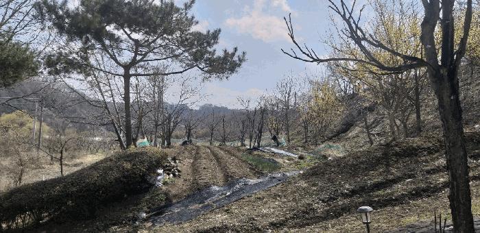 충청북도 옥천군 군북면 지오리 383-3 주택 경매 사진 9