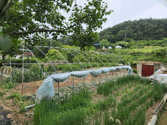 대구광역시 동구 내곡동 87 주택 경매 사진 6