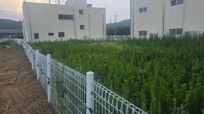 경상북도 칠곡군 왜관읍 매원리 148 상가 경매 사진 3