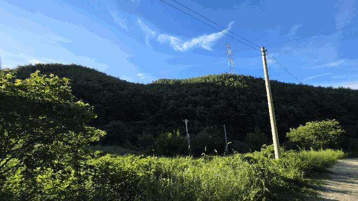 충청북도 영동군 영동읍 당곡리 237 답 경매 사진 1