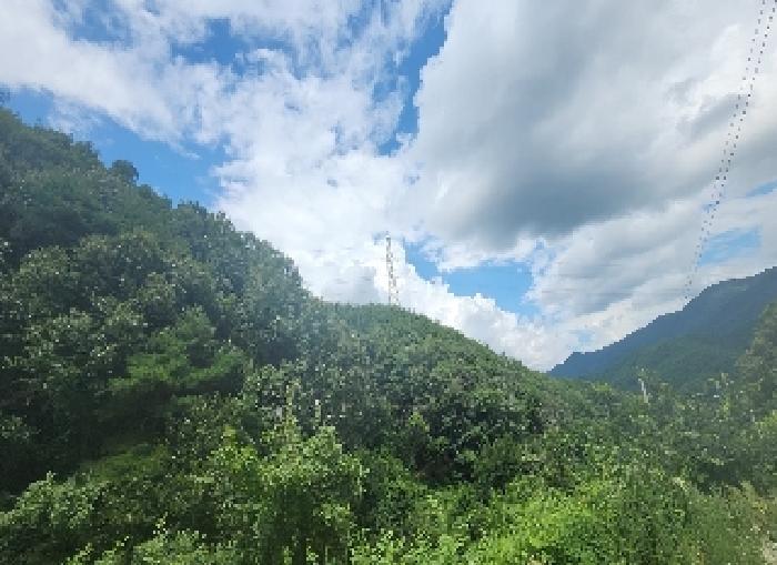 충청북도 영동군 영동읍 당곡리 237 답 경매 사진 6