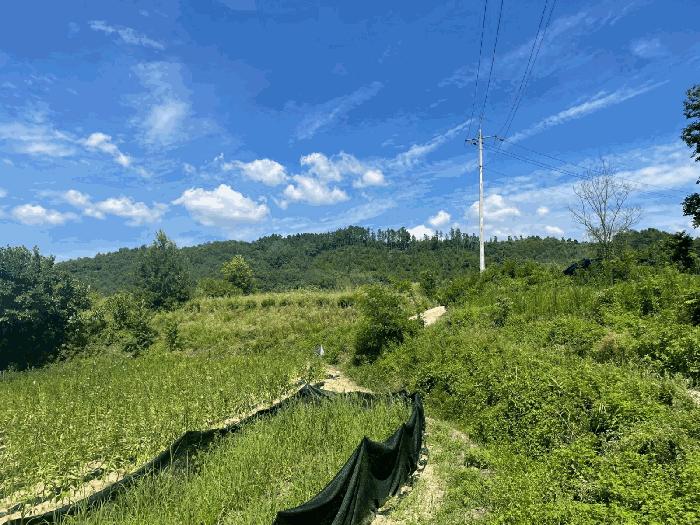 충청북도 옥천군 청성면 소서리 산30-1 임야 경매 사진 1