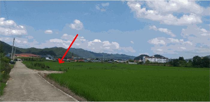 충청북도 옥천군 이원면 강청리 271-1 답 경매 사진 1