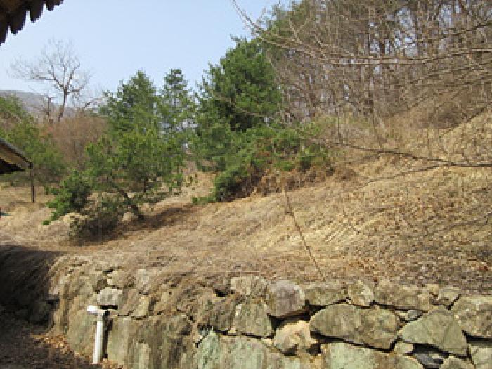 경상북도 문경시 농암면 내서리 739-7 전 경매 사진 10