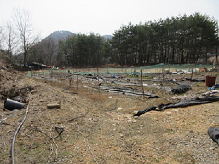 경상북도 문경시 농암면 내서리 741-1 공장 경매 사진 18