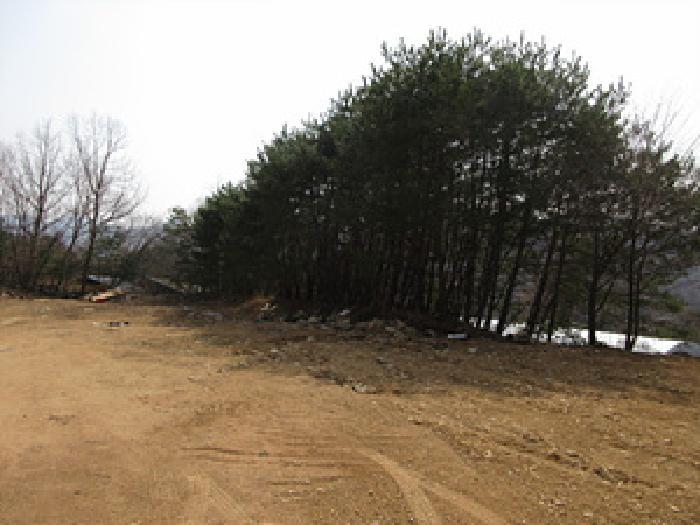 경상북도 문경시 농암면 내서리 741-1 공장 경매 사진 20