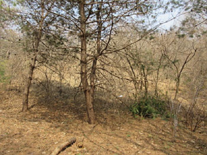 경상북도 문경시 농암면 내서리 741-8 잡종지 경매 사진 12