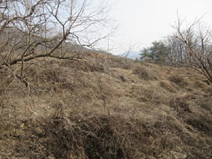 경상북도 문경시 농암면 내서리 723-9 전 경매 사진 9