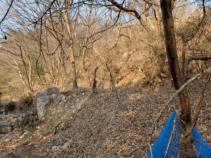 경상북도 문경시 농암면 내서리 738 전 경매 사진 5