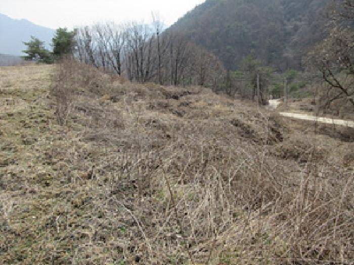 경상북도 문경시 농암면 내서리 738 전 경매 사진 8
