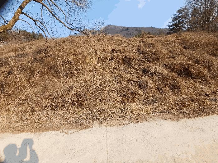 경상북도 문경시 농암면 내서리 739-5 전 경매 사진 2