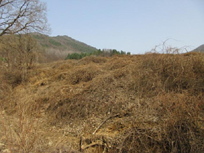 경상북도 문경시 농암면 내서리 739-5 전 경매 사진 7