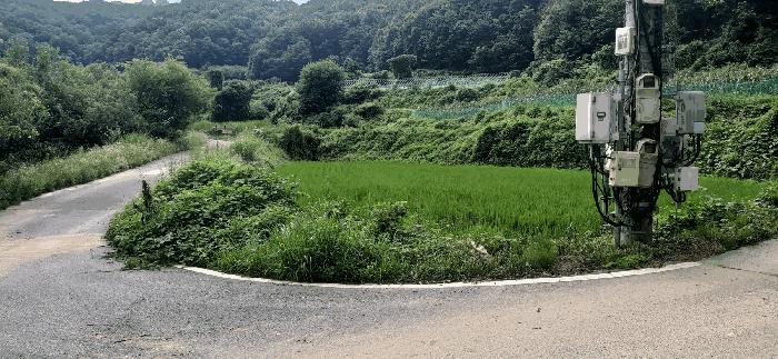 세종특별자치시 전의면 양곡리 134-1 답 경매 사진 2