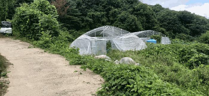 세종특별자치시 전의면 양곡리 134-1 답 경매 사진 3