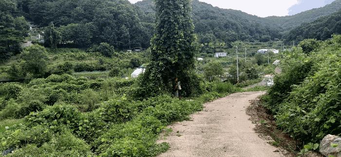 세종 전의면 답