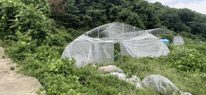 세종특별자치시 전의면 양곡리 134-9 답 경매 사진 6