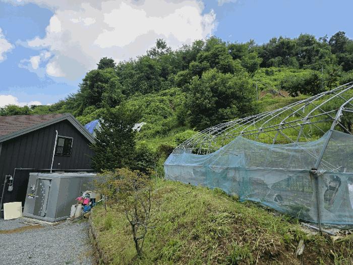 세종 전동면 임야